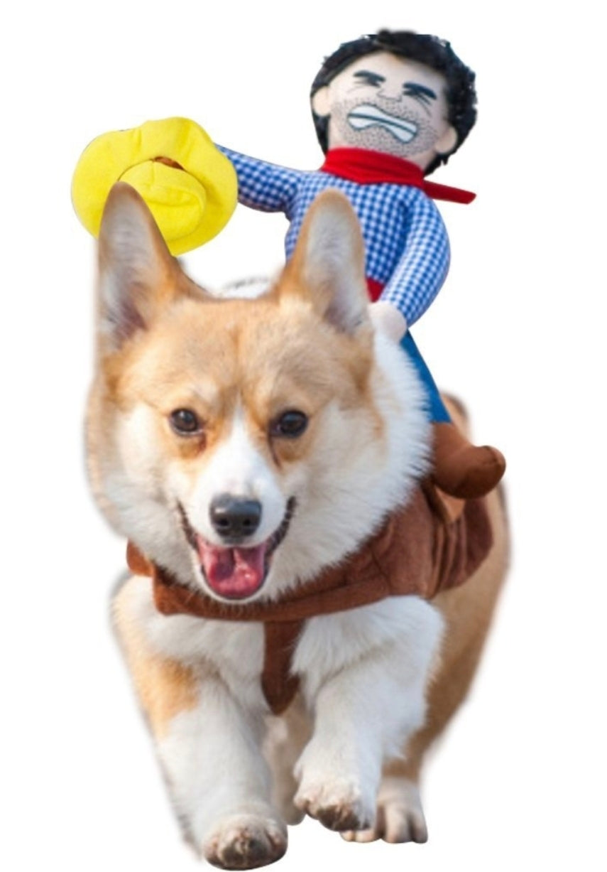 Ropa Caballero de Mascotas