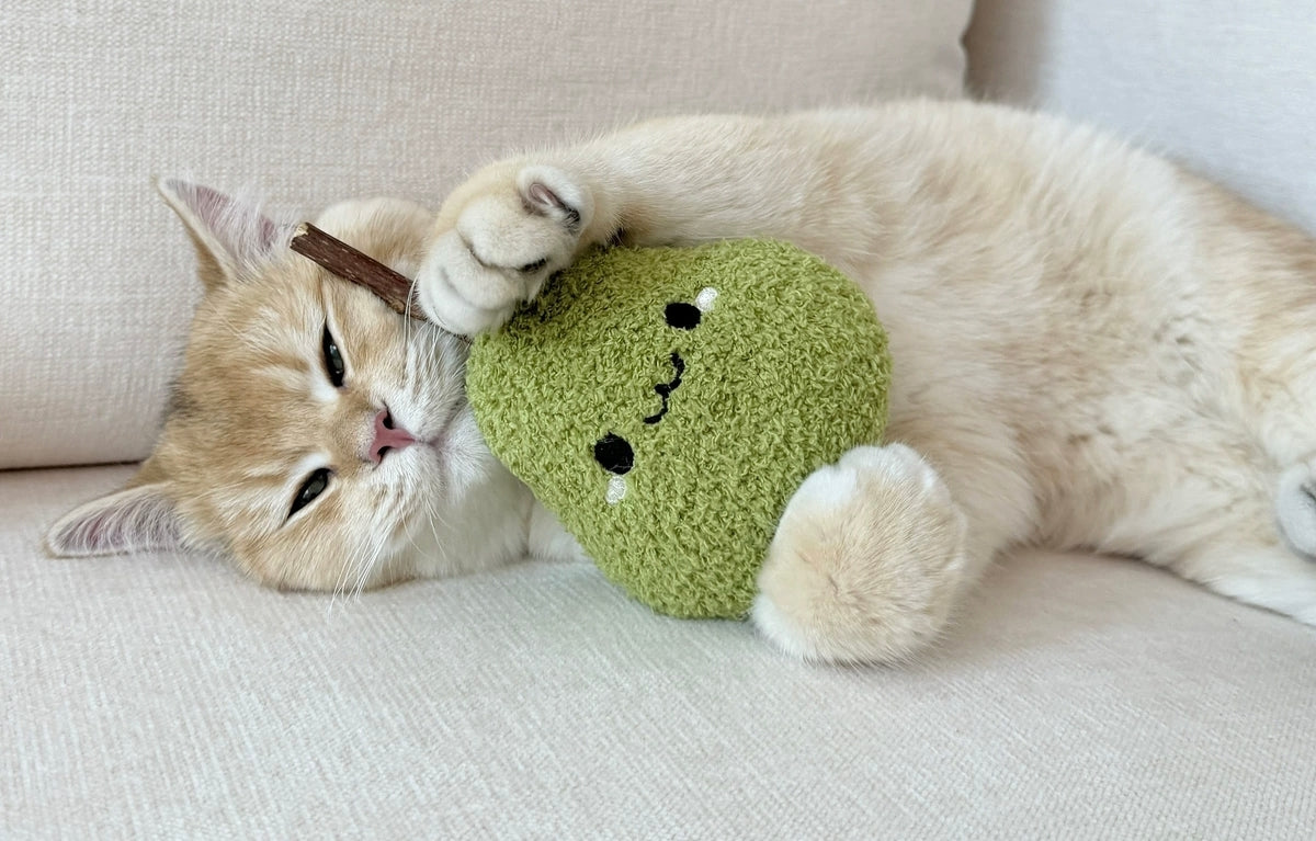 Juguete para la Dentición de Mascotas