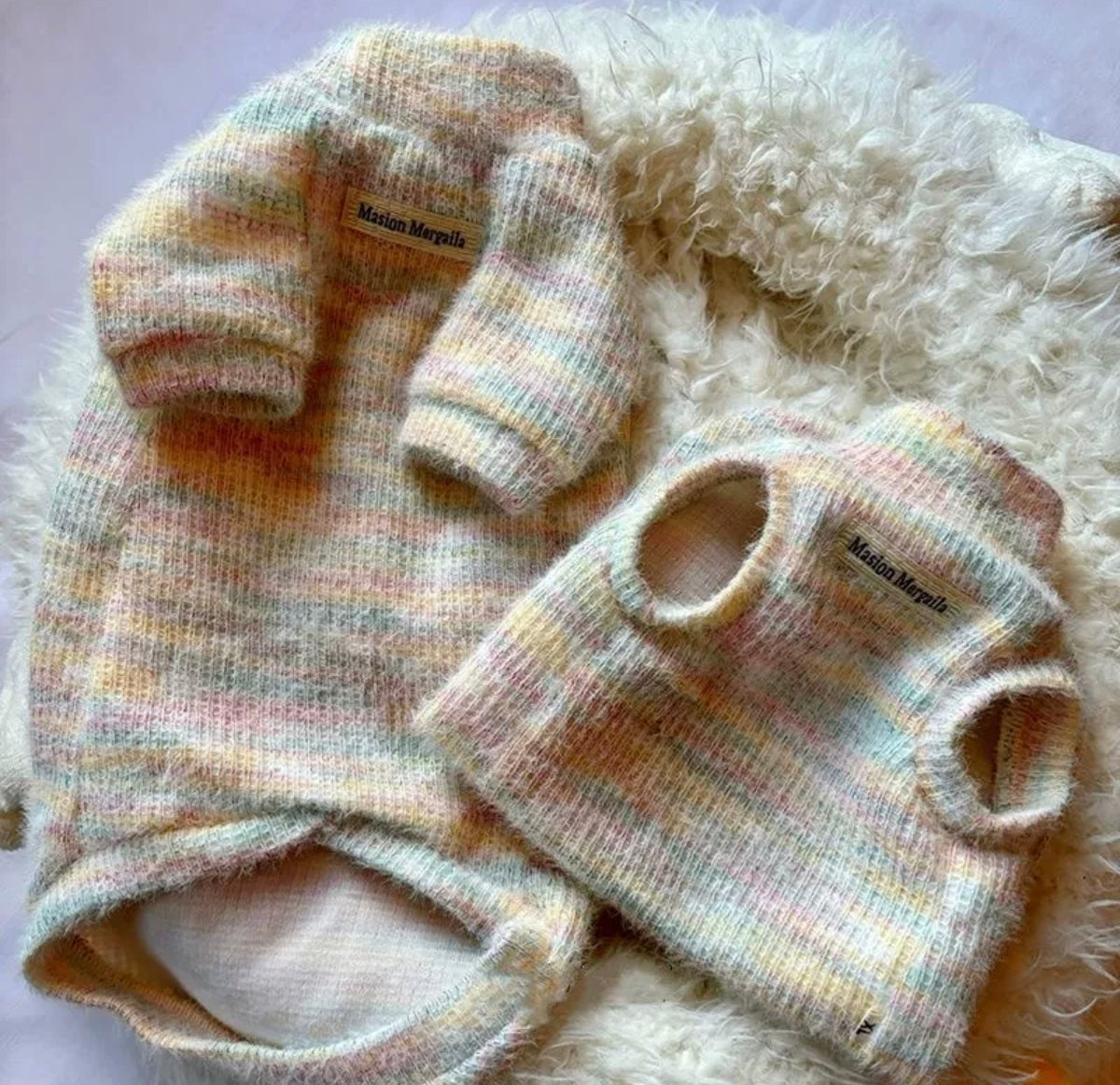 Ropa para Mascotas de Otoño e Invierno