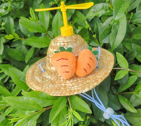 Sombrero de Paja para Mascotas