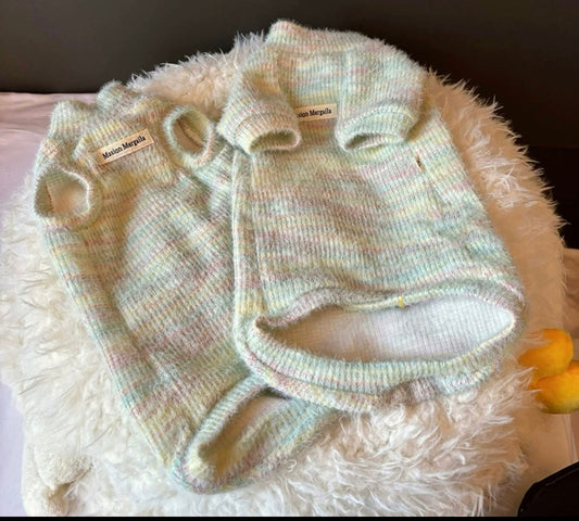 Ropa para Mascotas de Otoño e Invierno