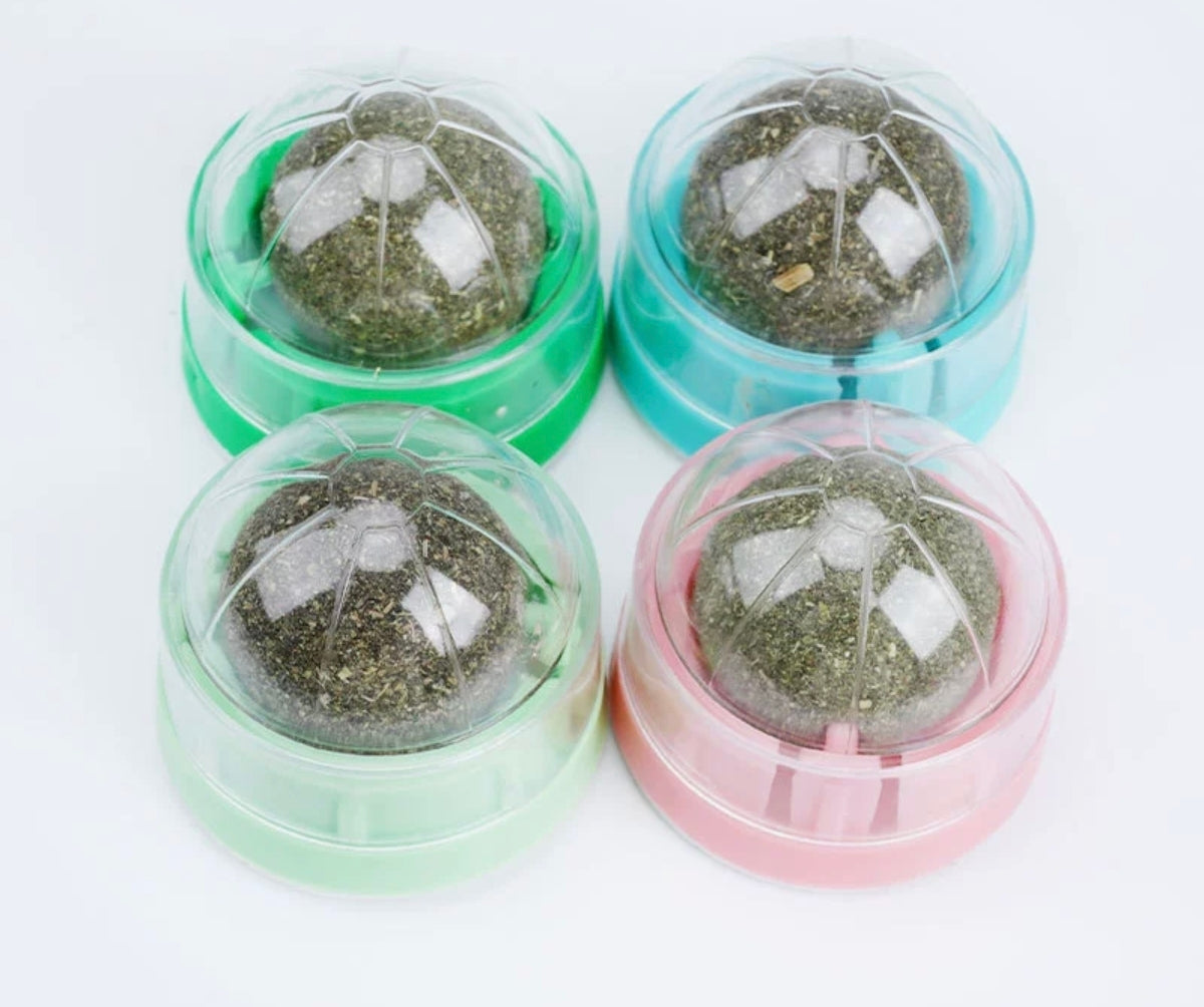 Bolas de Hierba Gatera para la Limpieza de los Dientes