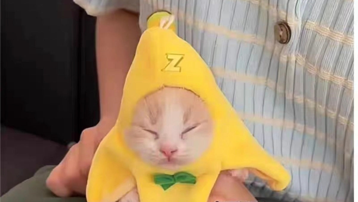 Mini Gorro Banana Cat (Para Cachorros)