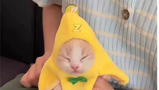 Mini Gorro Banana Cat (Para Cachorros)