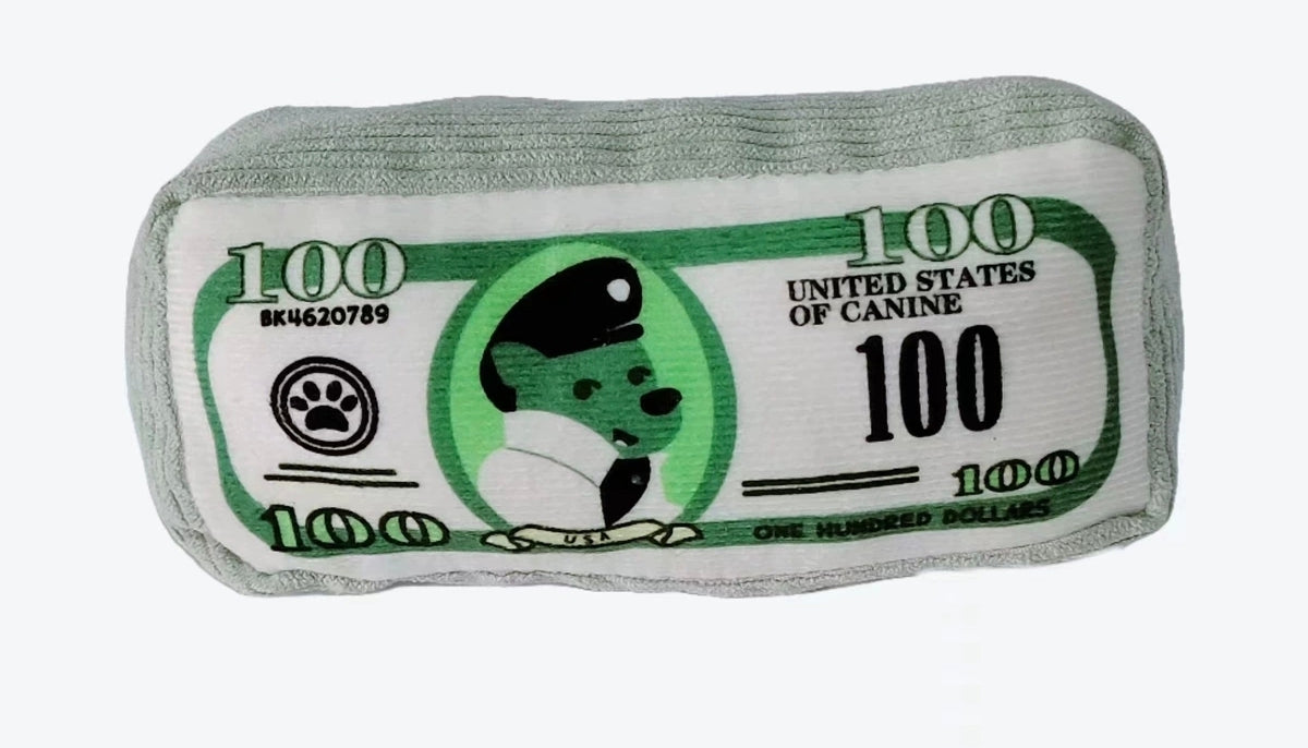 Juguetes para Mascotas Billetes Dólares con Sonido